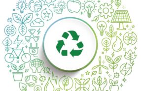 Gestión de residuos y más: consejos para una empresa sostenible