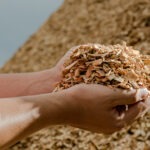 Gestión de residuos: la madera | Residuos Cirera